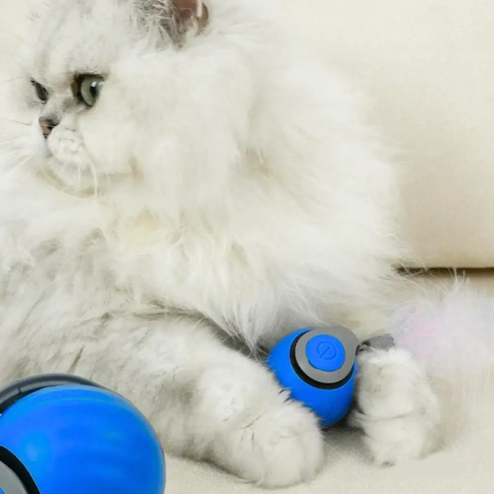 🐾✨Lassen Sie die Katzen jagen und der Spaß hört nie auf(SPEEDY TAIL 2.0)